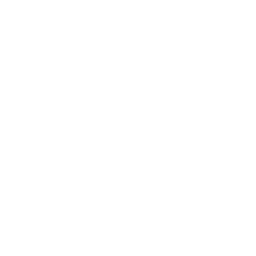 WNB — Wychowani Na Boisku